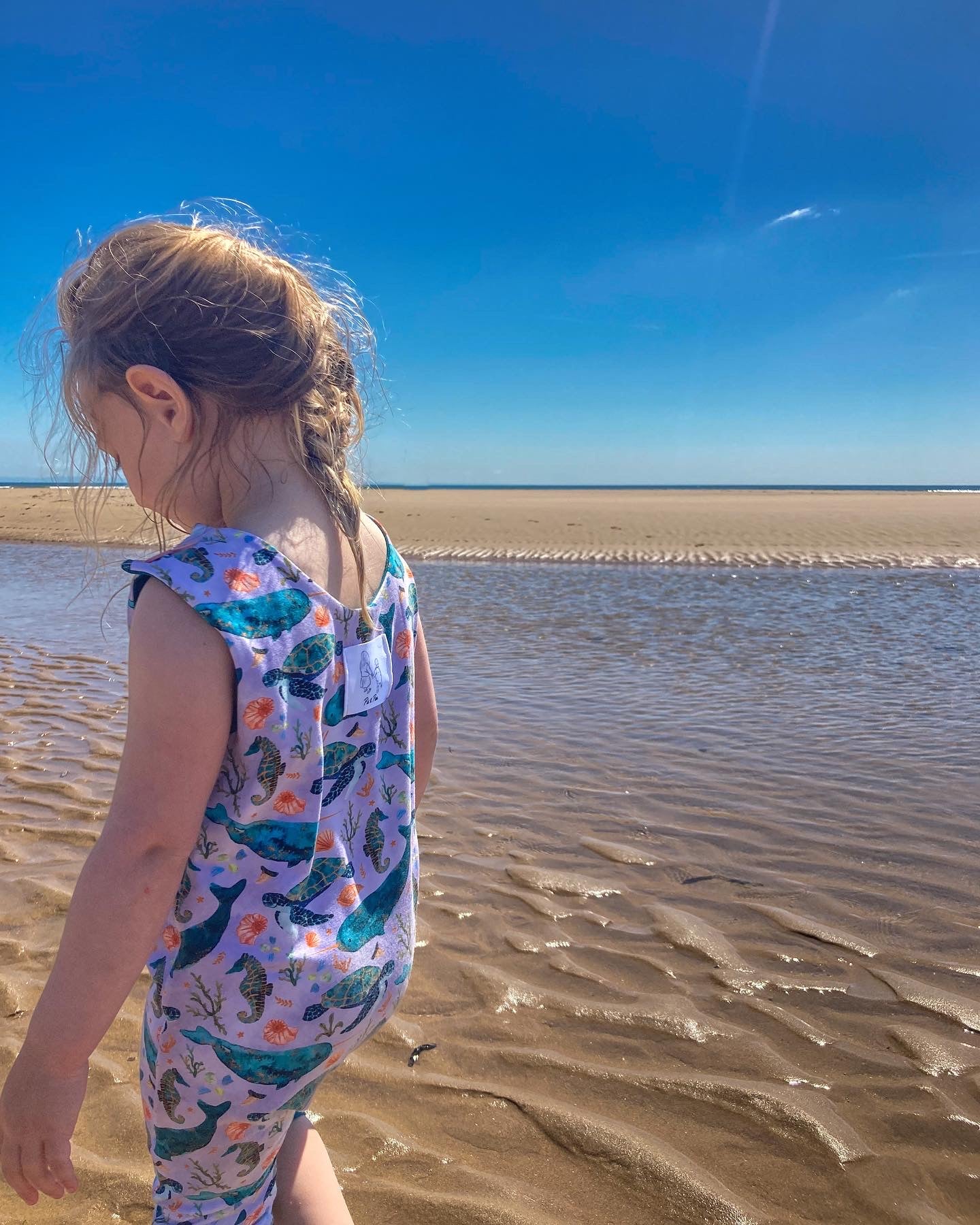 The Narwhal and the Turtle Shortie romper